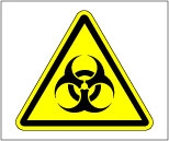 Б16